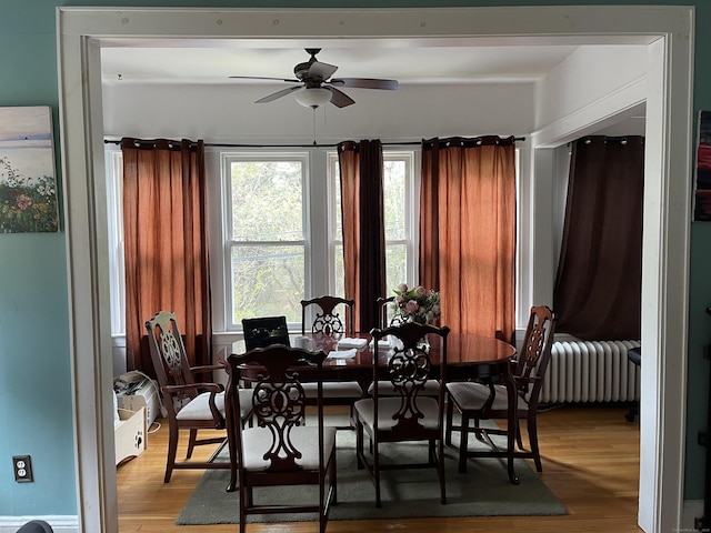 dining space with radiator heating unit, hardwood / wood-style floors, and ceiling fan