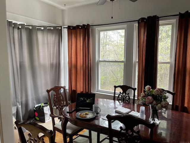 dining space with plenty of natural light