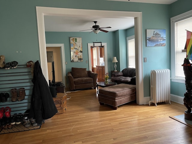 sitting room with radiator heating unit, light hardwood / wood-style flooring, and ceiling fan