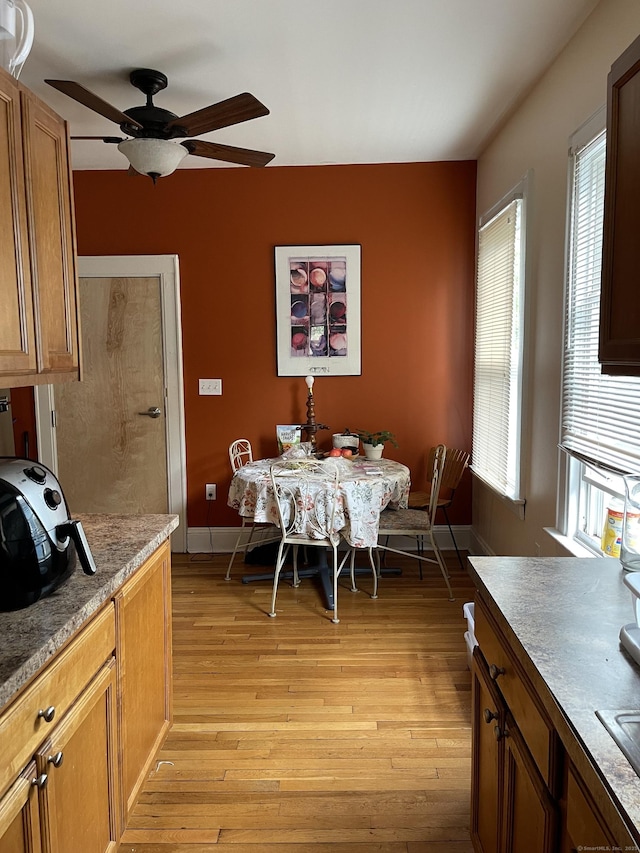 dining room featuring light hardwood / wood-style floors, plenty of natural light, and ceiling fan