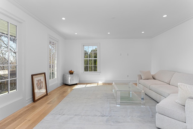 living room featuring light hardwood / wood-style floors and crown molding