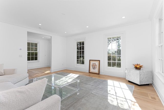 living room with crown molding and light wood-type flooring