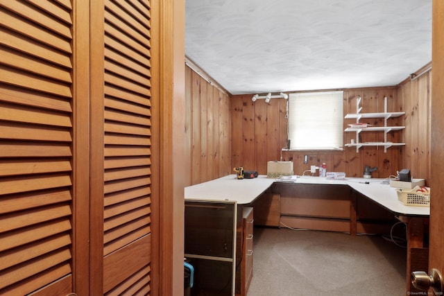 interior space with wood walls and dark carpet