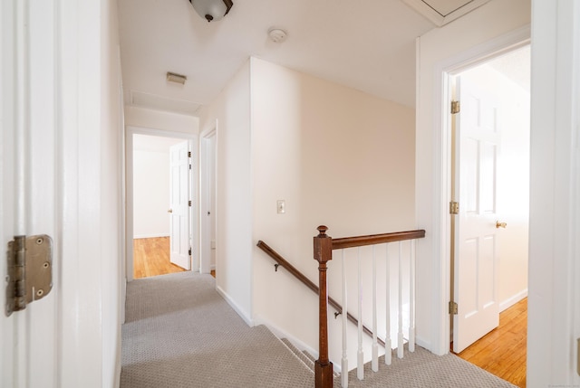 corridor featuring light colored carpet