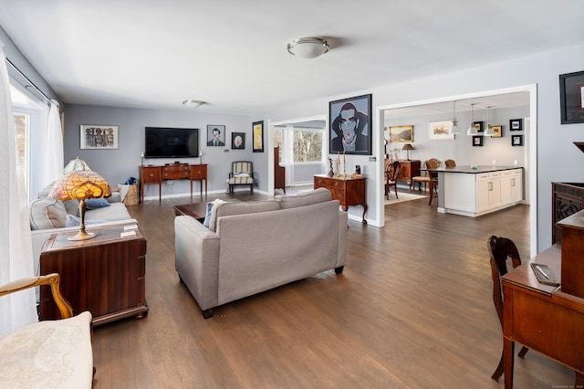 living room with dark hardwood / wood-style floors