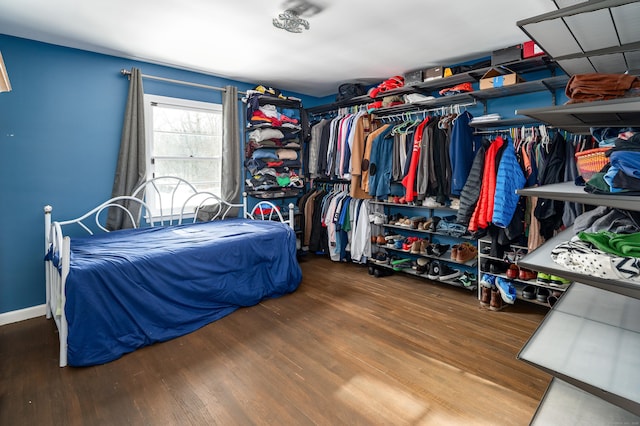 spacious closet with wood-type flooring