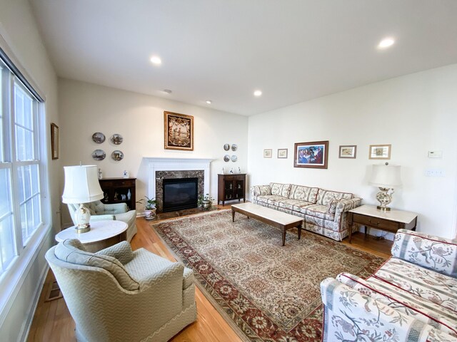 living room with a premium fireplace and hardwood / wood-style floors