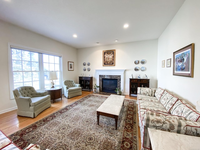 living room with hardwood / wood-style flooring and a high end fireplace