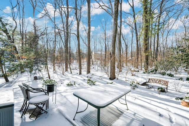 view of yard layered in snow