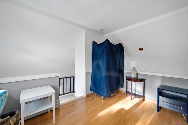 miscellaneous room featuring wood-type flooring