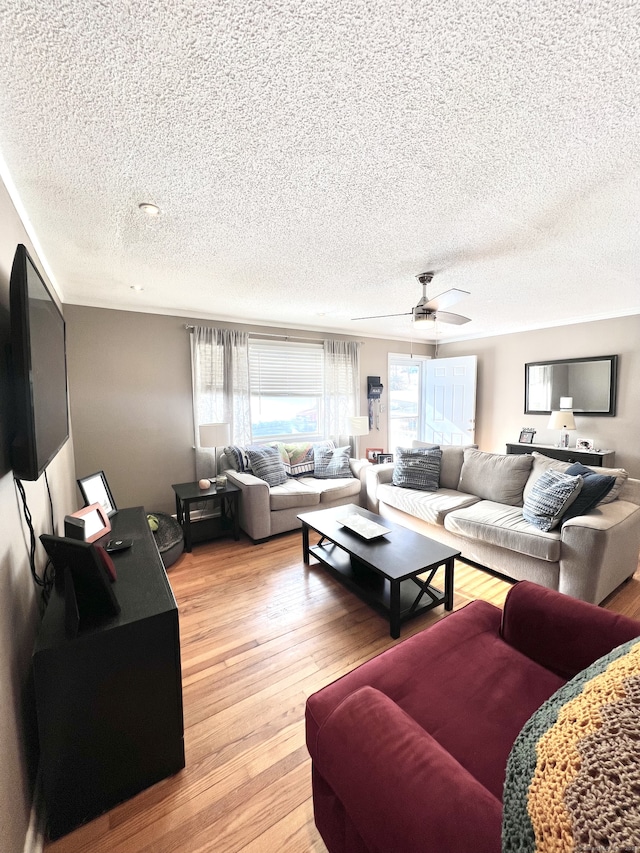 living room with wood-type flooring, a textured ceiling, and ceiling fan