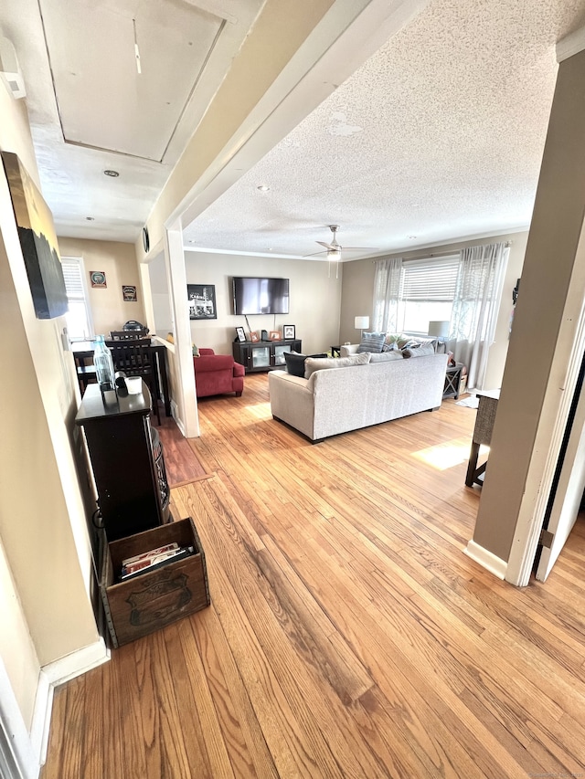 living room with ceiling fan, light hardwood / wood-style flooring, and a textured ceiling