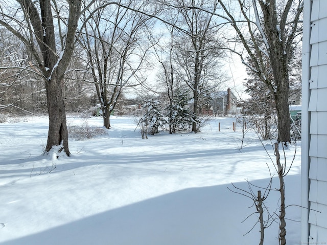 view of yard layered in snow