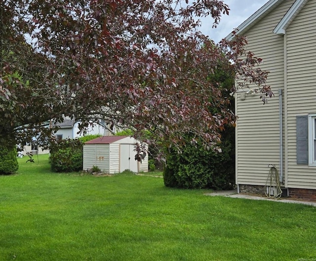 view of yard with a storage shed