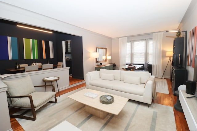 living room with light hardwood / wood-style flooring