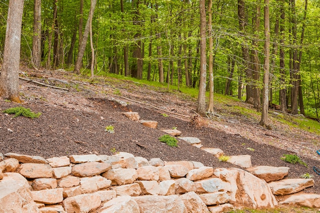 view of local wilderness