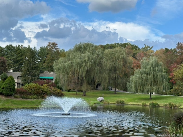 view of water feature