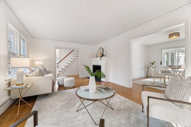 living room featuring crown molding, light hardwood / wood-style floors, and a baseboard radiator