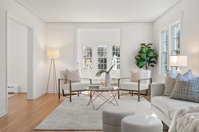 interior space with baseboard heating, ornamental molding, and light hardwood / wood-style flooring