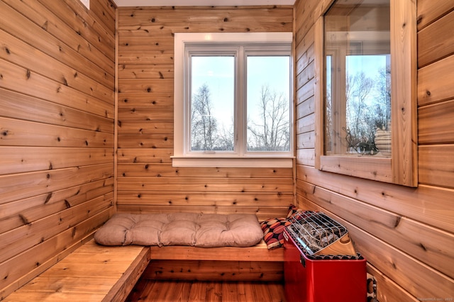 view of sauna / steam room with plenty of natural light