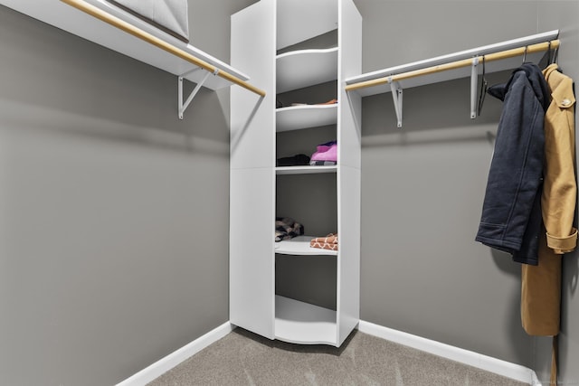 walk in closet with carpet floors