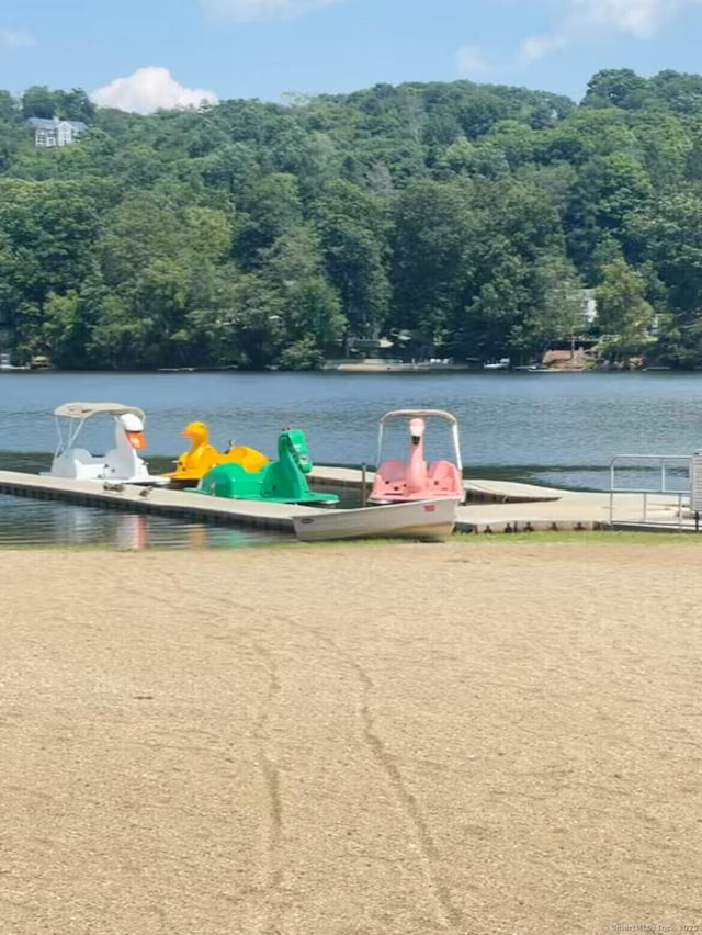 view of water feature with a boat dock