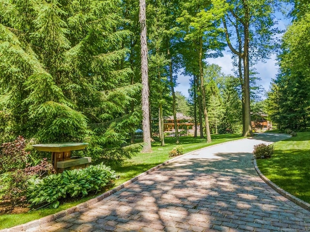 view of property's community featuring a yard