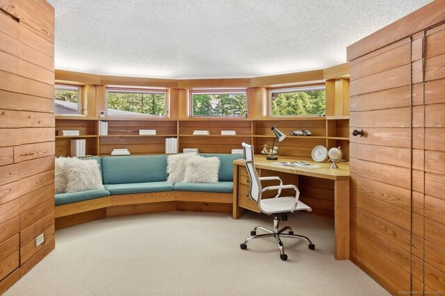 home office featuring carpet flooring, a wealth of natural light, and wood walls