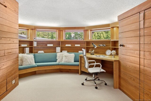 22 Father Peters Ln, New Canaan, CT 06840 - carpeted home office featuring a textured ceiling, wood walls, and built in desk