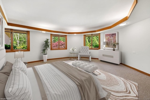 bedroom featuring light carpet and a raised ceiling