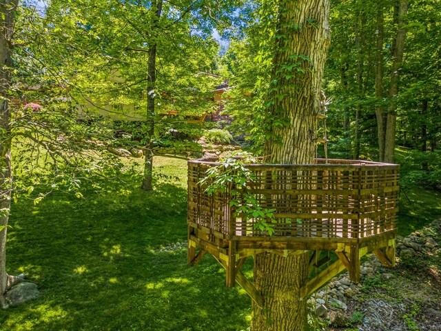 22 Father Peters Ln, New Canaan, CT 06840 - surrounding community with a wooden deck