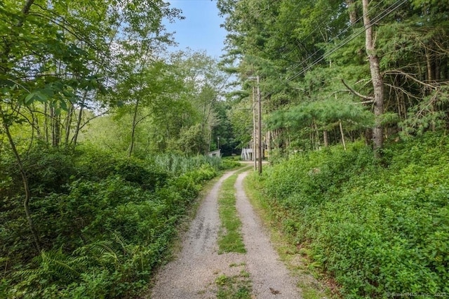 view of street with driveway