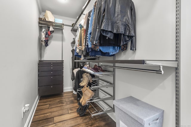 spacious closet with dark wood-style floors