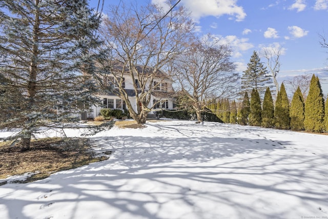 view of yard layered in snow