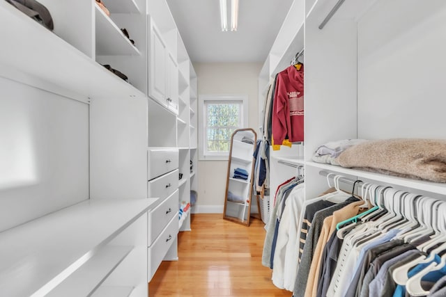 walk in closet with light wood-type flooring