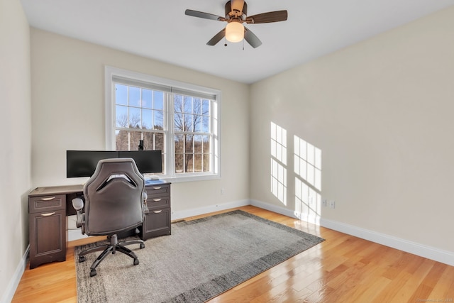 office space with light hardwood / wood-style flooring and ceiling fan