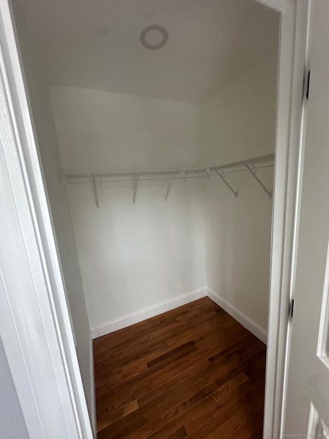 walk in closet featuring dark hardwood / wood-style flooring