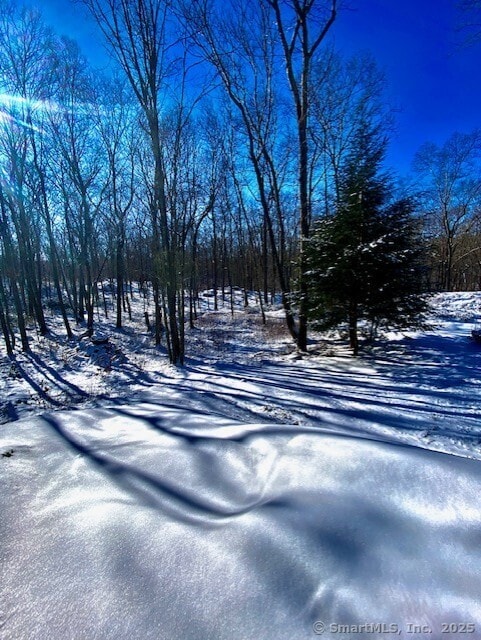 view of yard covered in snow