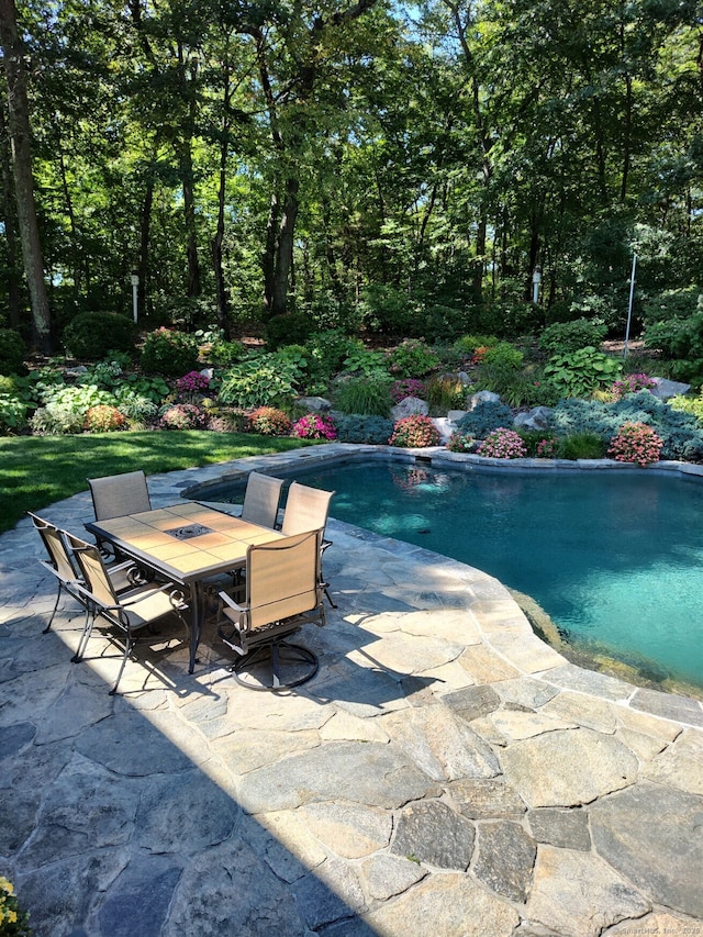 view of pool featuring a patio