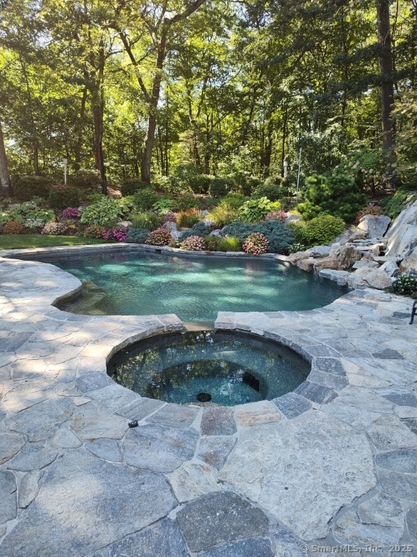 view of pool featuring an in ground hot tub and a patio