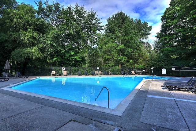 view of swimming pool with a patio