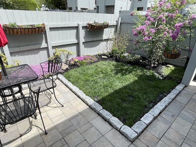 view of yard with a patio area