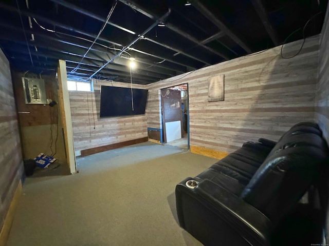 basement with wooden walls