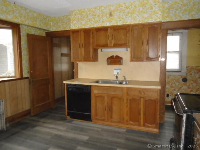 kitchen with radiator heating unit, range, dishwasher, sink, and dark wood-type flooring