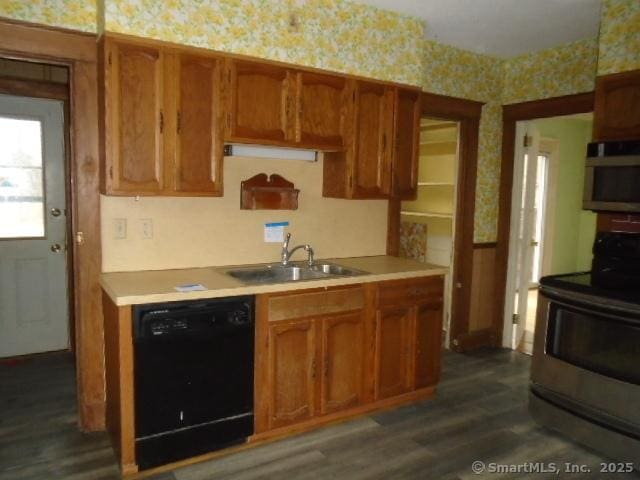 kitchen featuring sink, dark hardwood / wood-style flooring, and stainless steel appliances