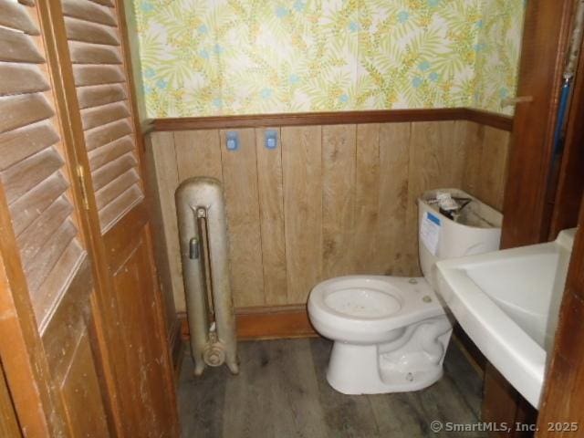 bathroom with sink, toilet, and wood-type flooring