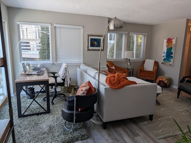 living room featuring wood-type flooring and a textured ceiling