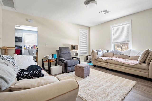 living room with hardwood / wood-style flooring and a wealth of natural light