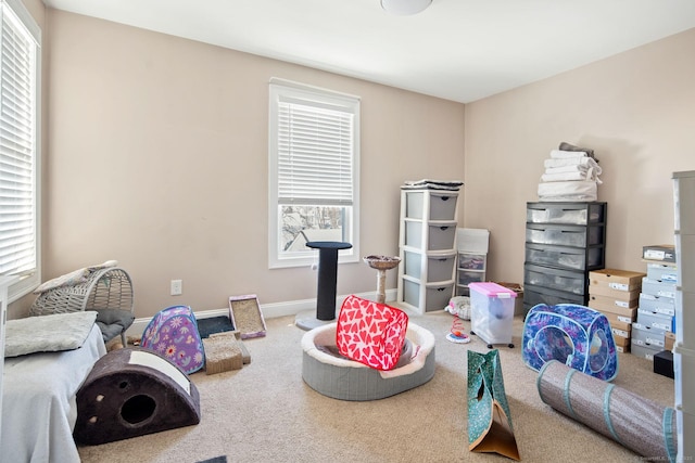 recreation room with carpet flooring