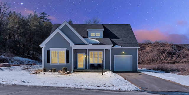 view of front facade with a garage